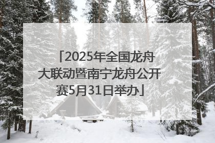 2025年全国龙舟大联动暨南宁龙舟公开赛5月31日举办