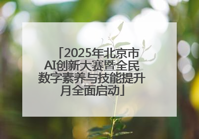 2025年北京市AI创新大赛暨全民数字素养与技能提升月全面启动
