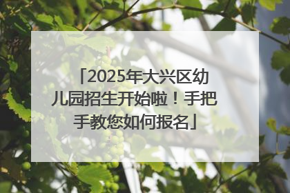 2025年大兴区幼儿园招生开始啦！手把手教您如何报名