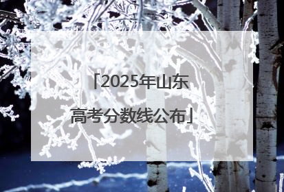 2025年山东高考分数线公布