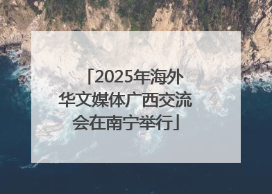 2025年海外华文媒体广西交流会在南宁举行