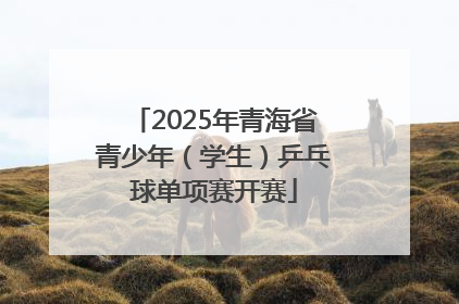2025年青海省青少年（学生）乒乓球单项赛开赛