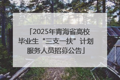 2025年青海省高校毕业生“三支一扶”计划服务人员招募公告