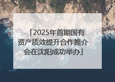 2025年首期国有资产质效提升合作推介会在沈阳成功举办