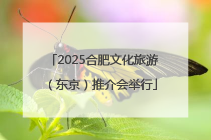 2025合肥文化旅游（东京）推介会举行