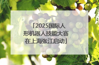 2025国际人形机器人技能大赛在上海张江启动