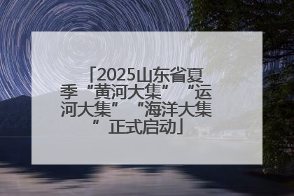 2025山东省夏季“黄河大集”“运河大集”“海洋大集”正式启动