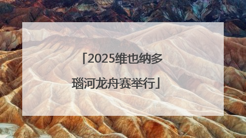 2025维也纳多瑙河龙舟赛举行