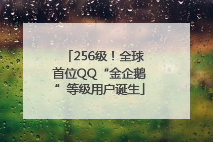 256级！全球首位QQ“金企鹅”等级用户诞生