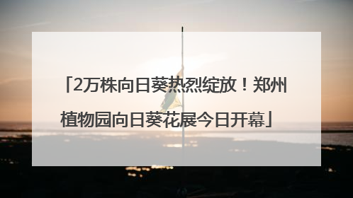 2万株向日葵热烈绽放！郑州植物园向日葵花展今日开幕