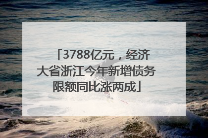3788亿元，经济大省浙江今年新增债务限额同比涨两成