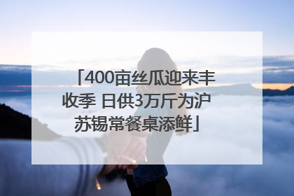 400亩丝瓜迎来丰收季 日供3万斤为沪苏锡常餐桌添鲜