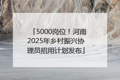5000岗位！河南2025年乡村振兴协理员招用计划发布