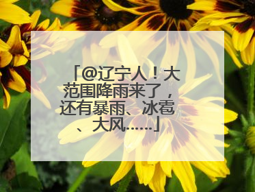 @辽宁人！大范围降雨来了，还有暴雨、冰雹、大风……