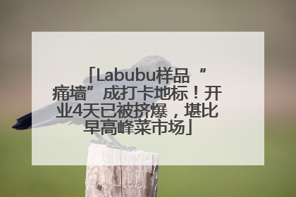 Labubu样品“痛墙”成打卡地标！开业4天已被挤爆，堪比早高峰菜市场