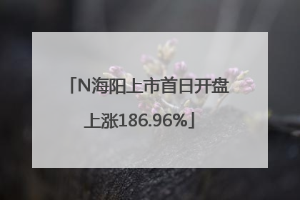 N海阳上市首日开盘上涨186.96%