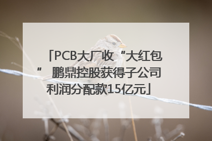 PCB大厂收“大红包” 鹏鼎控股获得子公司利润分配款15亿元